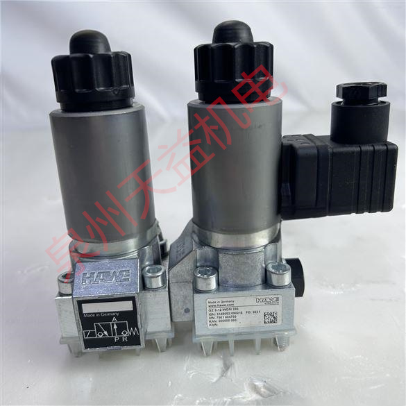 天益機電HAWE工業(yè)產品"RZ6.02-28" "GR2-1R-A24 1" "SG0R-ME2" "R0.9 "